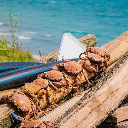 Villa къща за гости,,вила росица,, Shabla