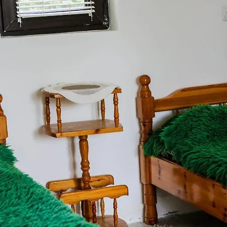 къща за гости,,вила росица,, Villa Shabla