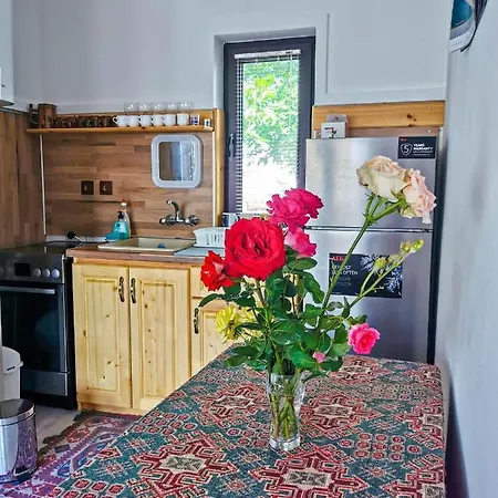 Villa къща за гости,,вила росица,,