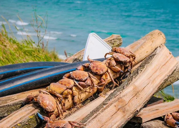 Вилла къща за гости,,вила росица,, Шабла