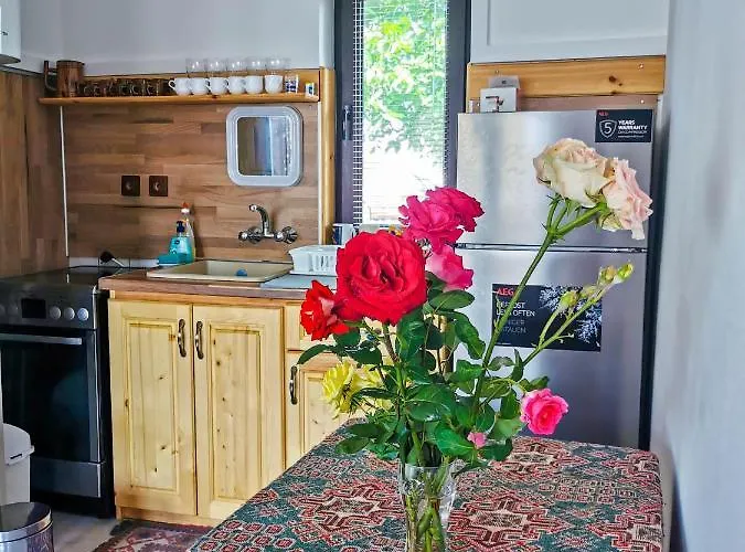 Вилла къща за гости,,вила росица,,