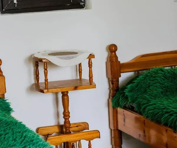 къща за гости,,вила росица,, Луксозна вила Шабла